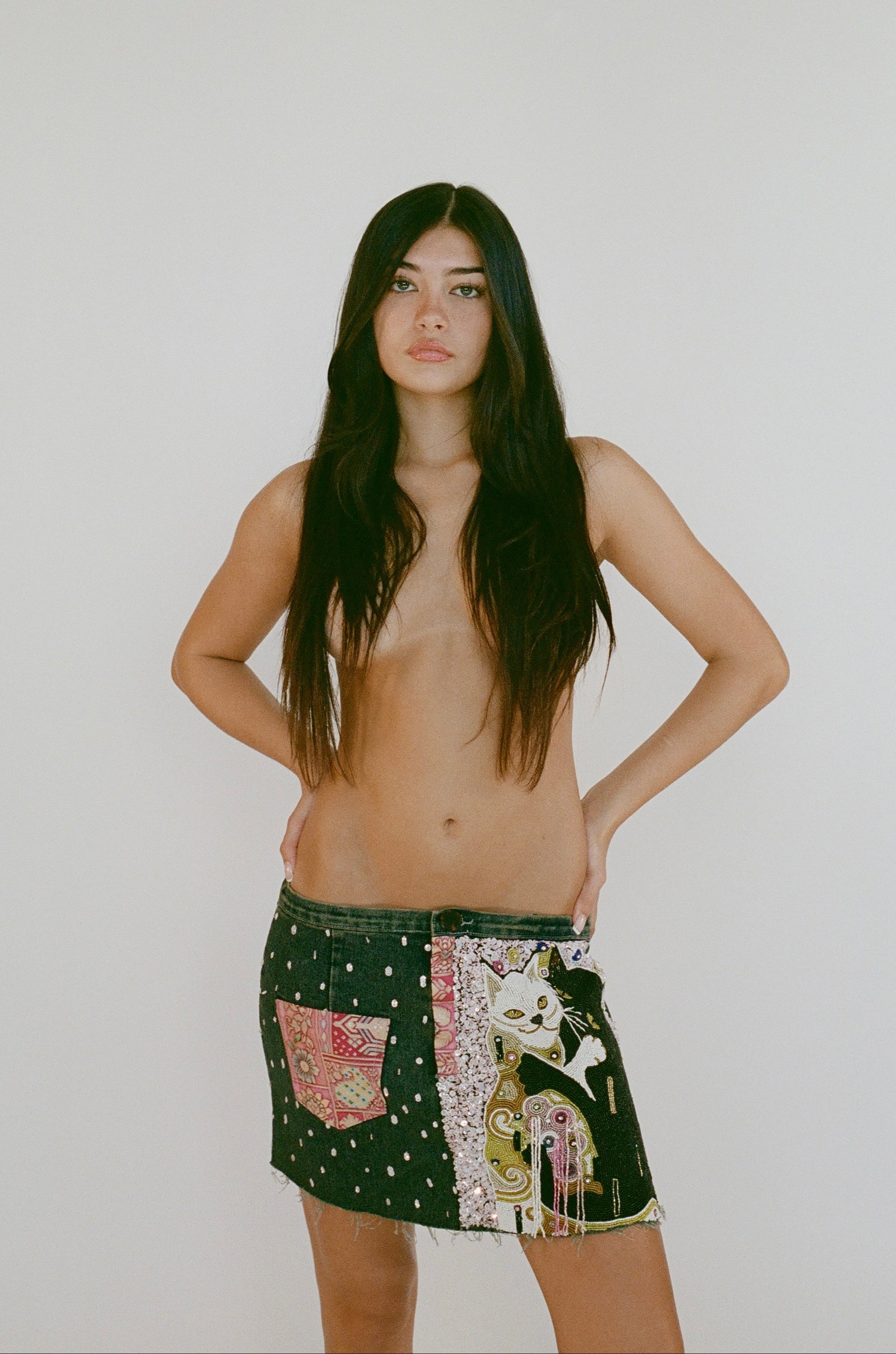 Cats Kiss Denim Skirt