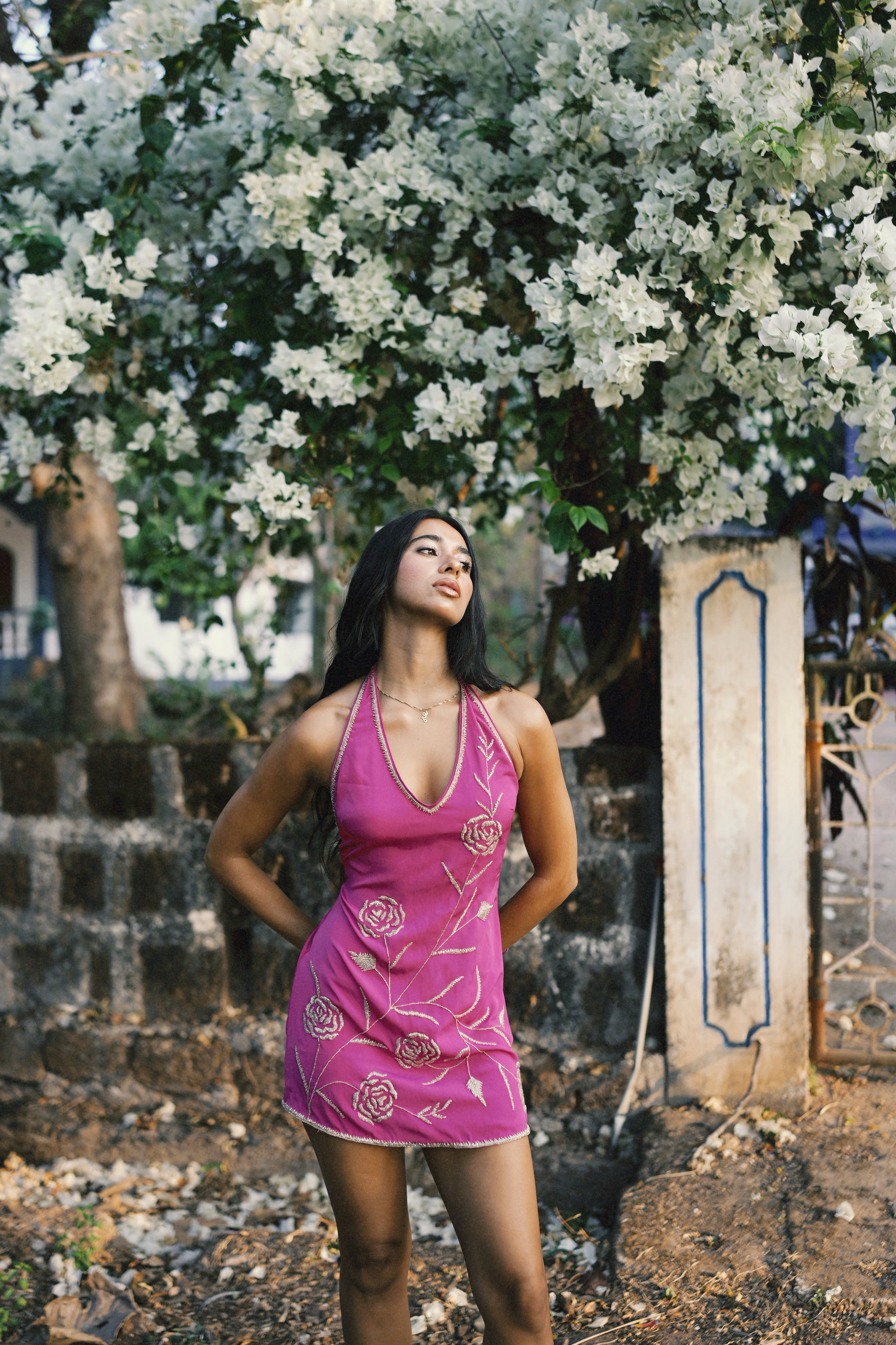 Francie Dress