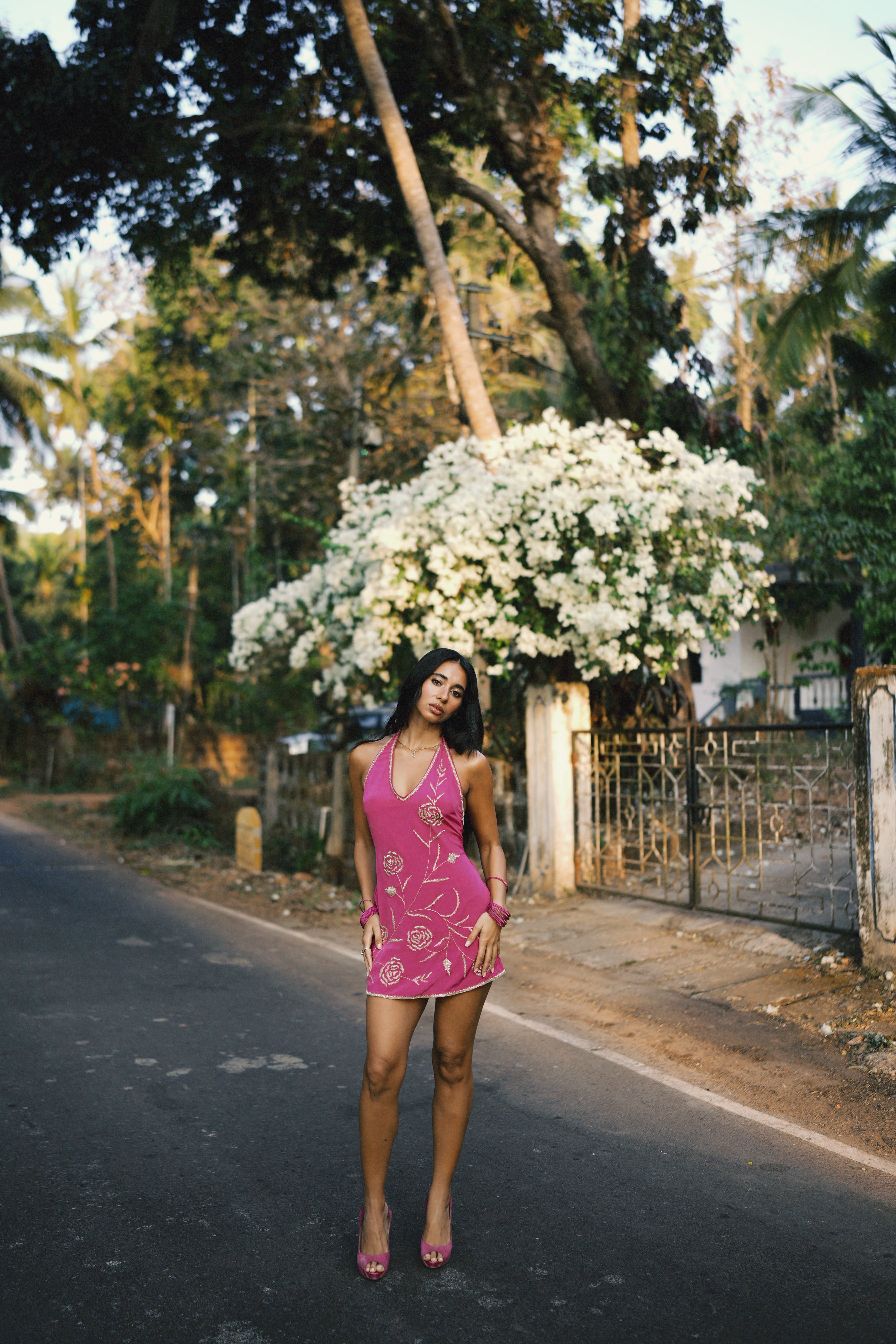 Francie Dress