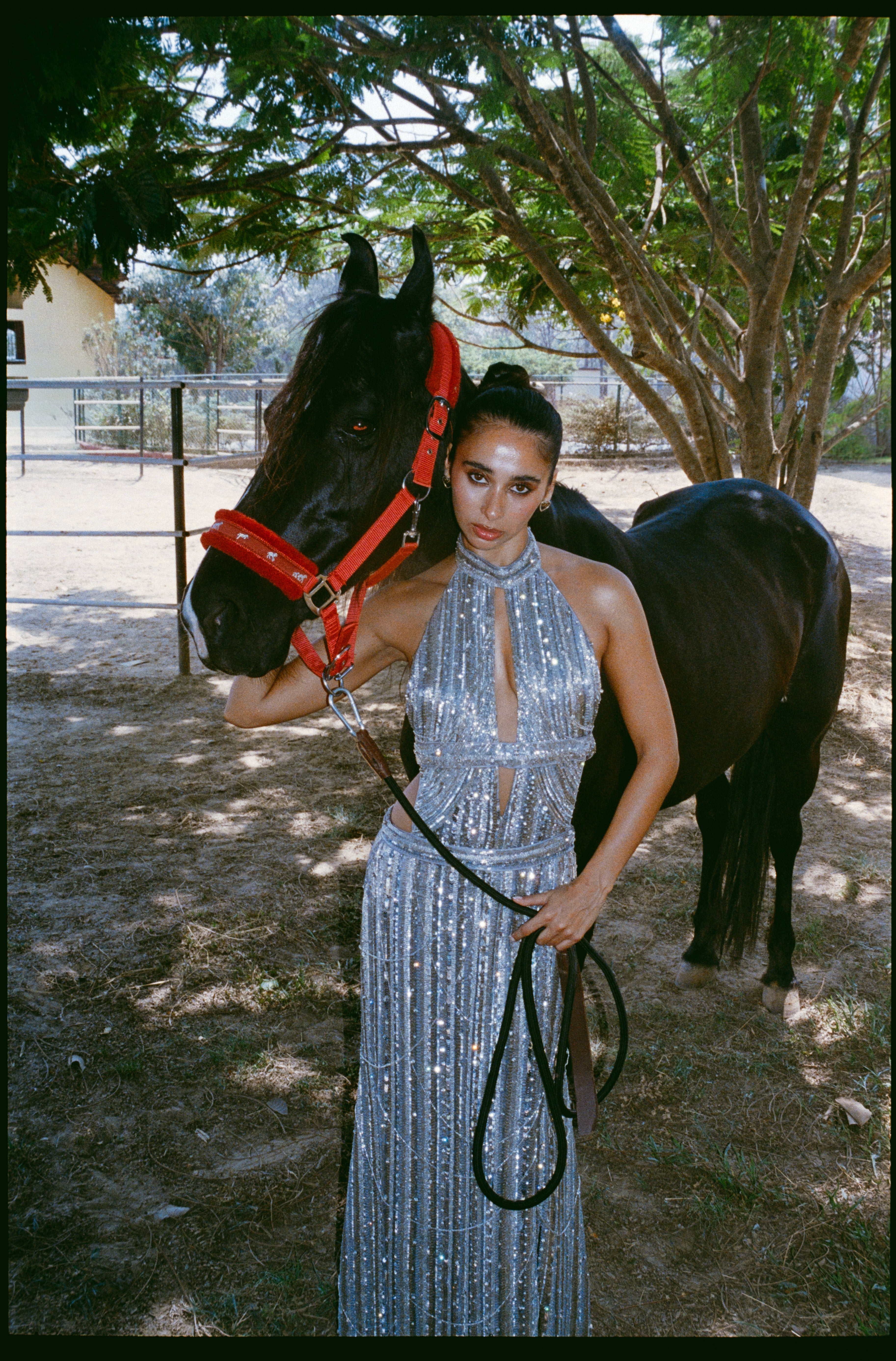Sitara Dress